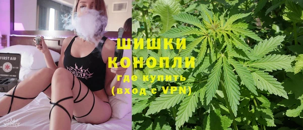 гашик Бронницы