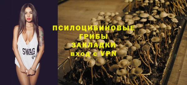 гашик Бронницы