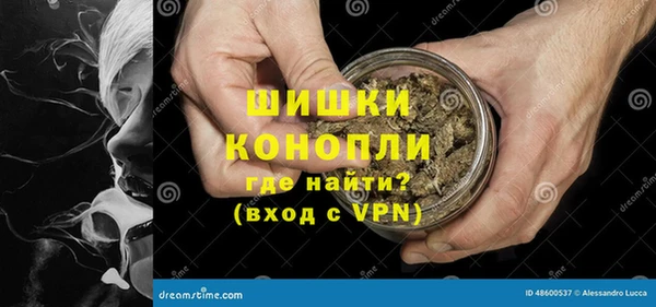 гашик Бронницы